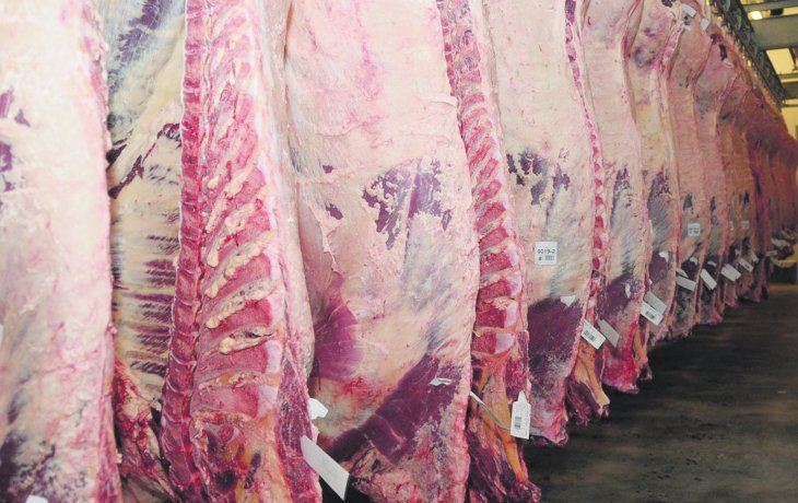 La carne vacuna tocó un techo, según el dueño d eun frigorífico. La carne vacuna tocó un techo, según el dueño d eun frigorífico.