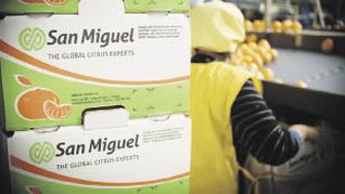 San Miguel es la mayor citrícola de Argentina.