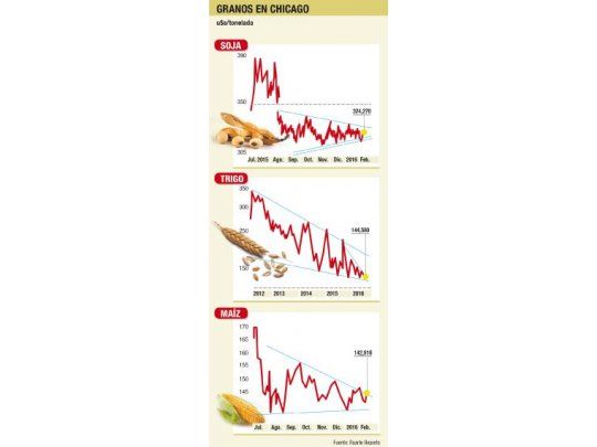 Tendencia alcista en Chicago