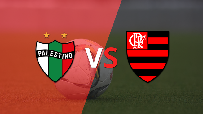 CONMEBOL - Copa Libertadores: Palestino vs Flamengo Grupo E - Fecha 4