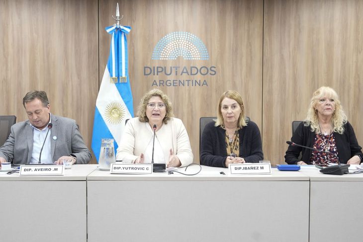 La reunión de la Comisión de Asuntos Municipales fue presidida por la diputada fueguina Carolina Yutrovic.