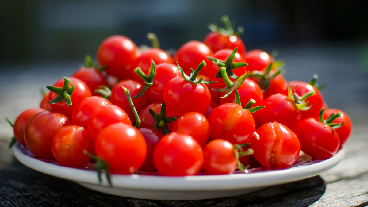 Grow your own food in less than one meter: the secret to successfully planting cherry tomatoes Grow your own food in less than one meter: the secret to successfully planting cherry tomatoes