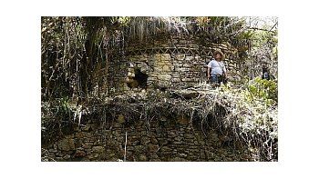 El hallazgo lo realizó un grupo de investigadores en el amazonas peruano