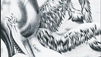 ámbito.com | espec galerias.jpg