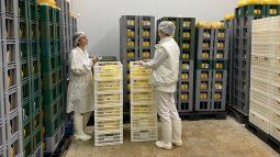 National milk production fell 2% in 2023 and a new decline is projected for this year National milk production fell 2% in 2023 and a new decline is projected for this year