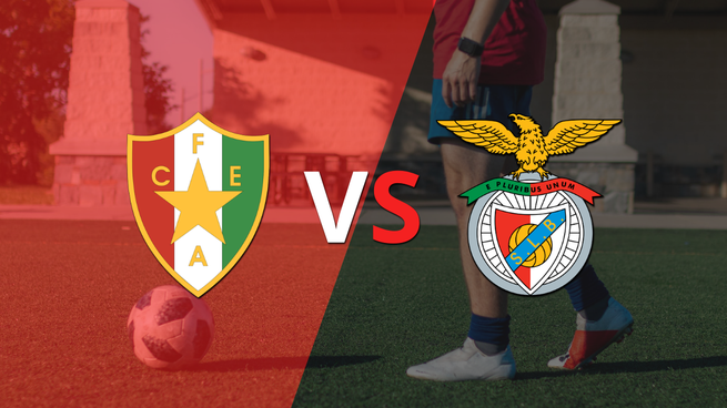 Portugal - Primera División: Estrela Amadora vs Benfica Fecha 19