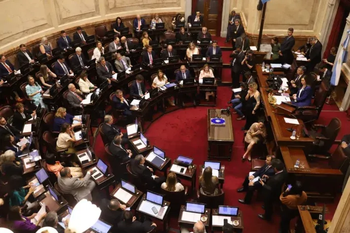 victoria villarruel senado - 3