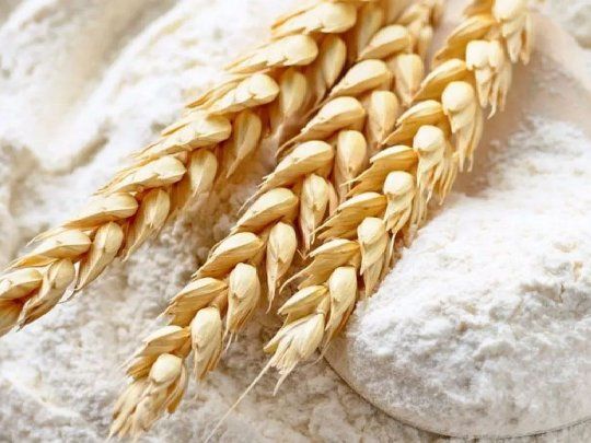 El Gobierno fijó un nuevo precio para la harina de trigo a la salida del molino.&nbsp;