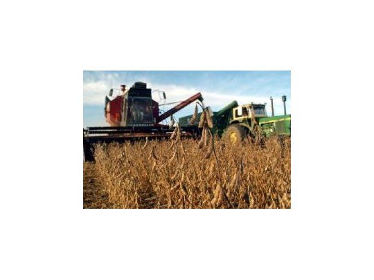 La soja descendió 0,8% a u$s 446,44