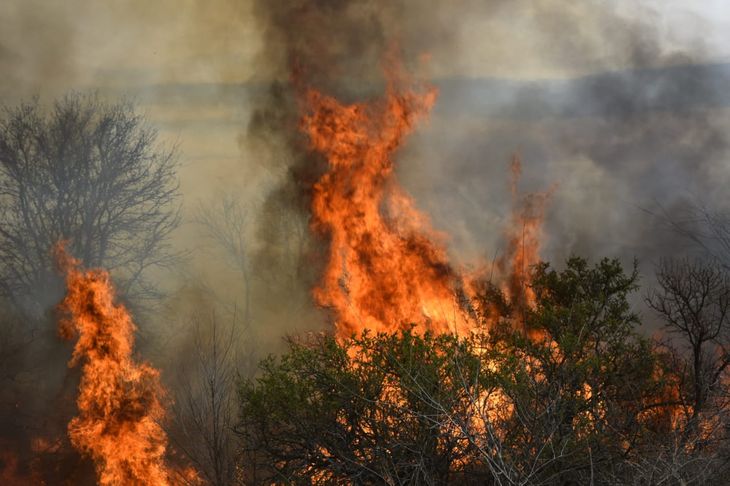 Las llamas no dan tregua y las condiciones climáticas complican el trabajo de los bomberos.