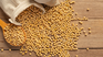 Soybeans reached their maximum value in a month and expectations for Uruguayan agriculture improve. Soybeans reached their maximum value in a month and expectations for Uruguayan agriculture improve.