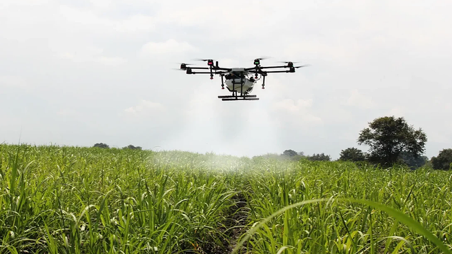 Dentro del sector vinculado al agro no creen que se vaya a modificar el esquema cambiario.