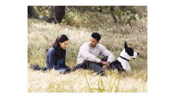 ámbito.com | Rosario Dawson, Will Smith y el gran danés vegetariano en «Siete almas», de Gabriele Muccino era egoísta, pérfido y galoeuropeo. Sin embargo, cuando los elegidos lo ven acercarse no pueden sentir menos que temor: él les informa que es inspector de réditos