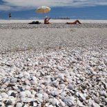 Hay muchas alternativas en el país, ideales para escapar de la acumulación de gente de la costa bonaerense. Hay muchas alternativas en el país, ideales para escapar de la acumulación de gente de la costa bonaerense.