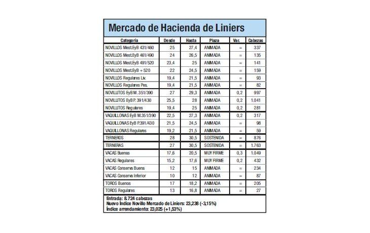 Índice Novillo cayó un 3,2% en Liniers