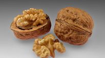 Alimentos para el cerebro.&nbsp;