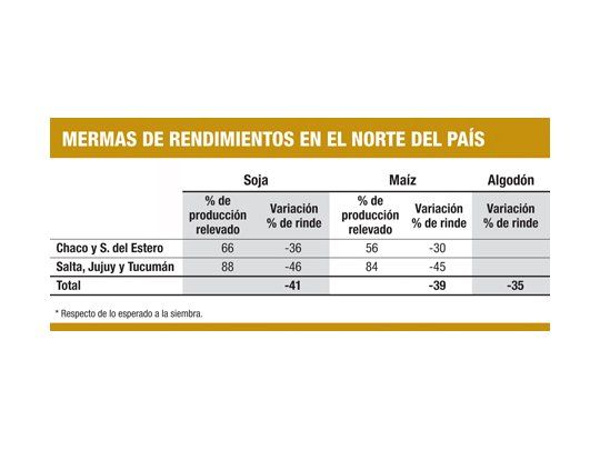 Por sequía, pérdidas en soja llegan al 46% y en maíz al 45% en el norte