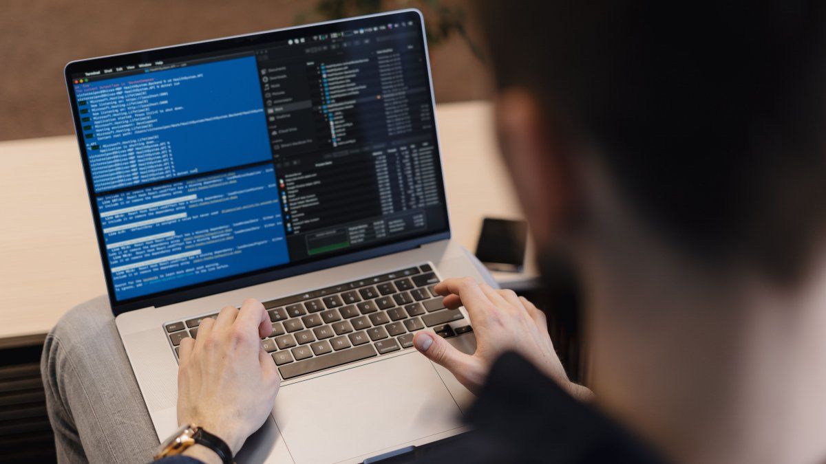 Employment in the computer sector grew by 44.5% in five years