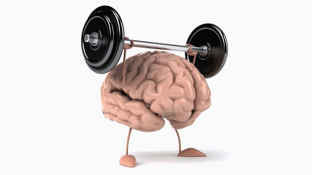 The diet to improve memory and take care of brain health