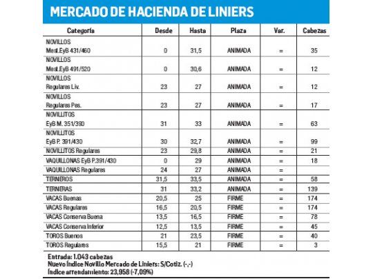 Escasos ingresos y poca demanda