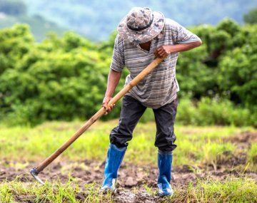 La remuneración para tareas permanentes en explotaciones agrarias, categoría peón, en febrero de 2026 se ubica en $1.000.908. La remuneración para tareas permanentes en explotaciones agrarias, categoría peón, en febrero de 2026 se ubica en $1.000.908.