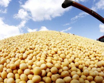 Se espera que la venta de granos, principalmente soja, continúe fluida en julio y agosto.