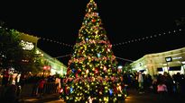 Árbol de Navidad.