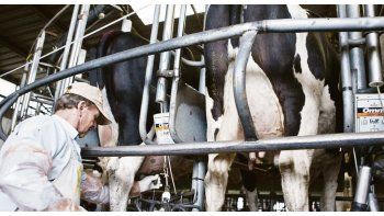 Para comprar un litro de leche, el tambero debe vender 3,62