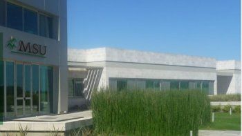 la agricola msu emitio obligaciones negociables por u$s15 millones
