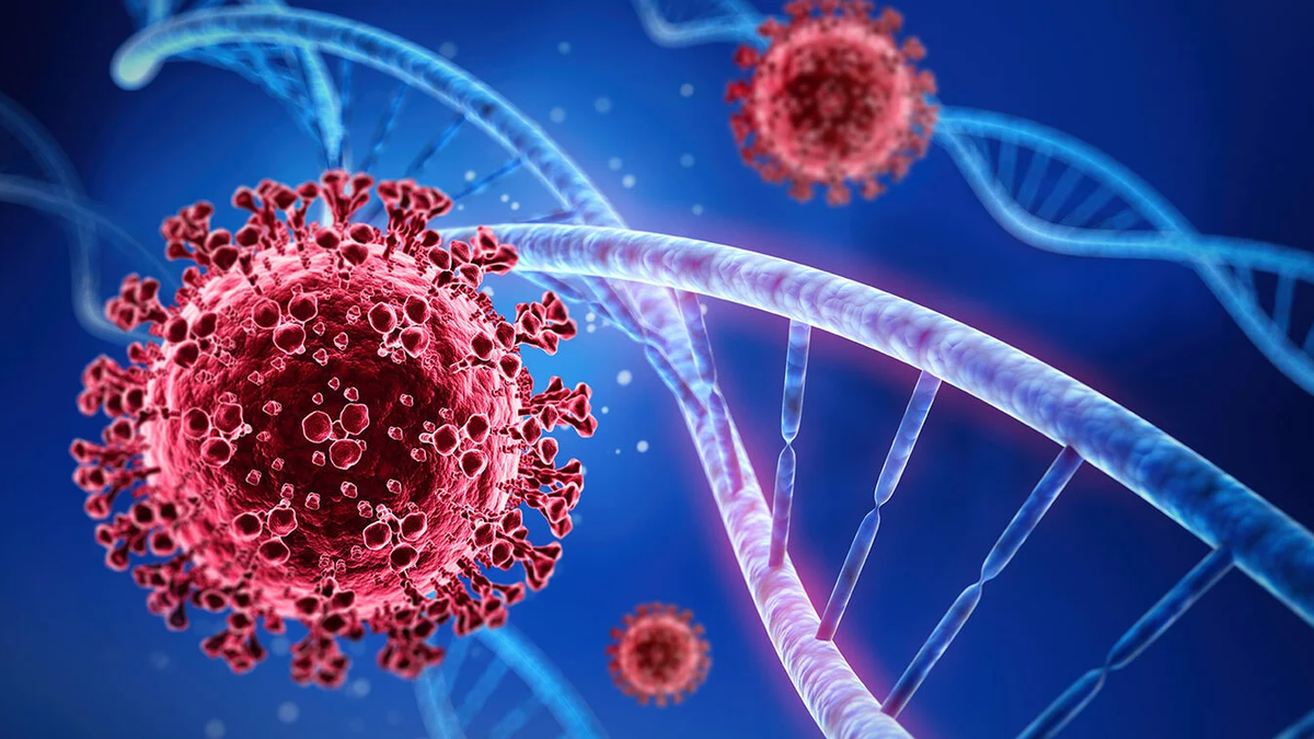 a Chinese city faces half a million daily infections