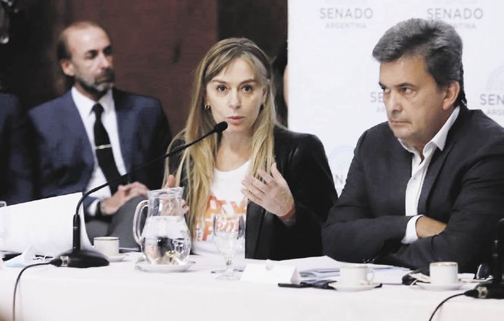 PAG13-Senado plenaria_opt1.jpeg