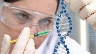 Las mujeres son las que más estudian carreras STEM, pero su participación efectiva en el sector es baja