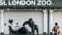 La serie de animales de Banksy llegó al Zoo de Londres.