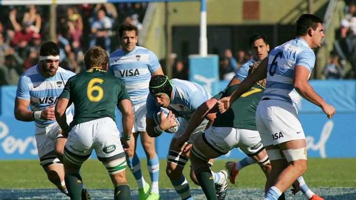 Los Pumas vs Sudáfrica, por el Rugby Championship: hora, TV y formaciones