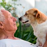A qué edad envejecen los perros y qué síntomas presentan, según veterinarios. A qué edad envejecen los perros y qué síntomas presentan, según veterinarios.