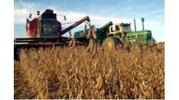 La soja ascendió 1,4% a u$s 452,88