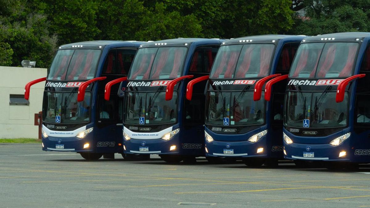 Busmania: all the benefits for long-distance buses by 2025