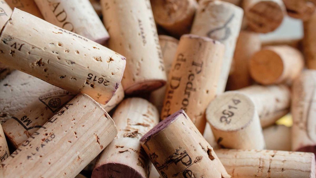 Do you want to take better care of your plants? With this trick you can recycle the corks and help your garden