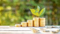 herramientas financieras para cuidar el medio ambiente