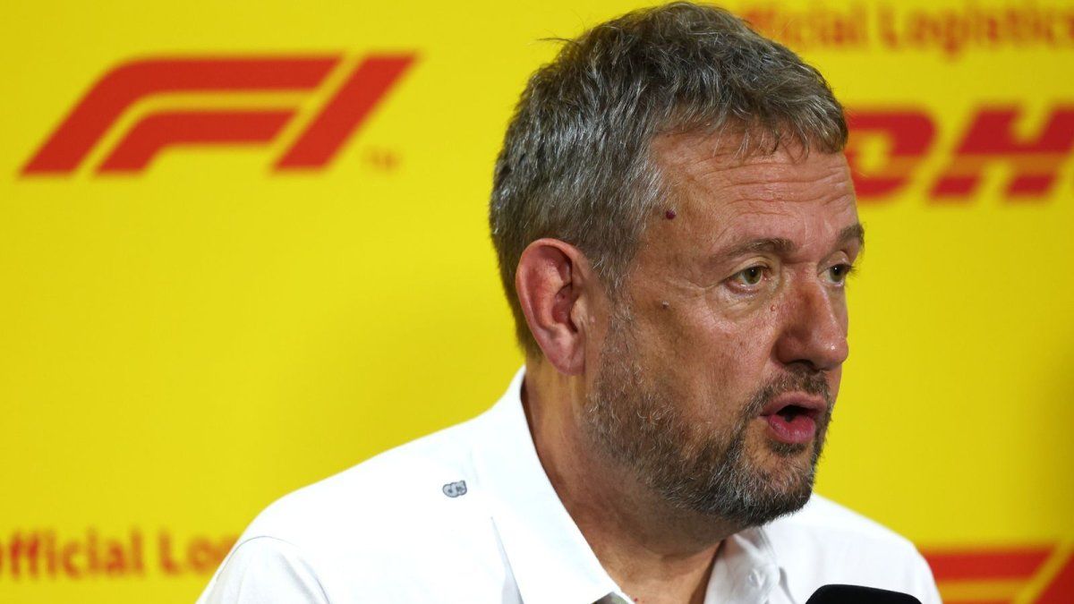 Who is Steve Nielsen, the possible team leader of Franco Colapinto in Alpine