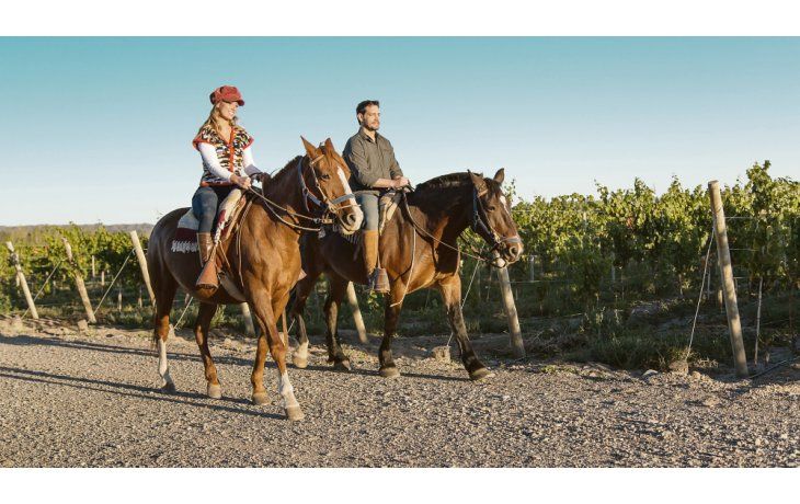 ámbito.com | La Ruta del Vino menos explotada: en bicicleta, a caballo y en autos antiguos