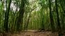 El Destino Natural Reserve, 122 km from CABA. El Destino Natural Reserve, 122 km from CABA.
