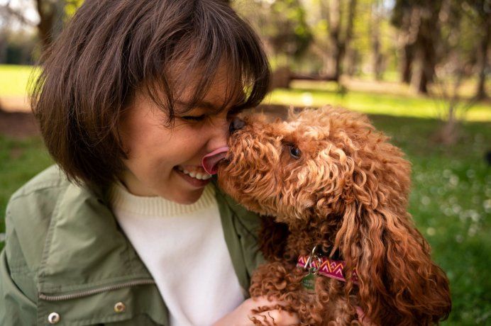 Los lamidos de tu perro tienen diferentes significados en virtud de la situación, pero en cualquier caso, son una forma de comunicarse con vos. 