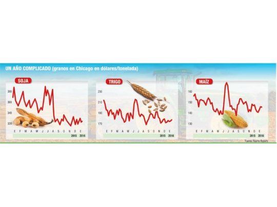 Bajas en soja y maíz, alzas en trigo