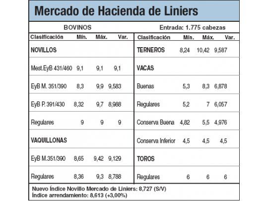 Los terneros cayeron el 0,5%