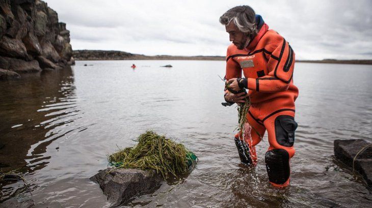 Roesler fue distinguido por su trabajo de conservación del macá tobiano.