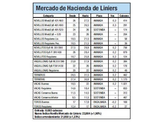 Mercado de Liniers: Novillo subió 1,9%