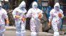 It is considered a zoonotic virus. It is considered a zoonotic virus.