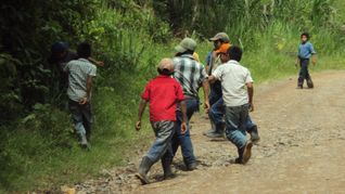Cerca del 15% de los menores de 17 años trabaja en la Argentina. Cerca del 15% de los menores de 17 años trabaja en la Argentina.