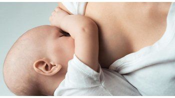 El instinto maternal se puede medir.